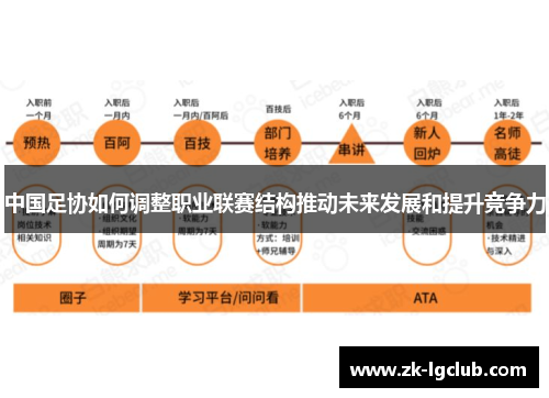 中国足协如何调整职业联赛结构推动未来发展和提升竞争力