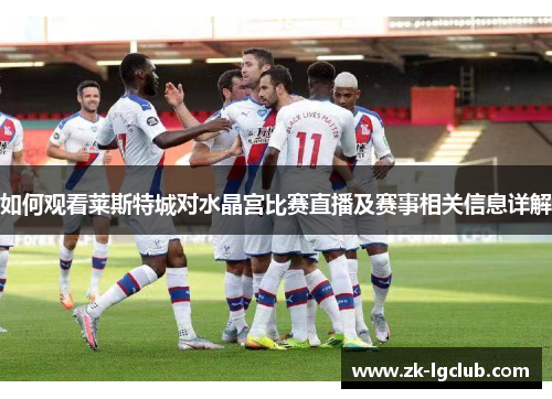 如何观看莱斯特城对水晶宫比赛直播及赛事相关信息详解