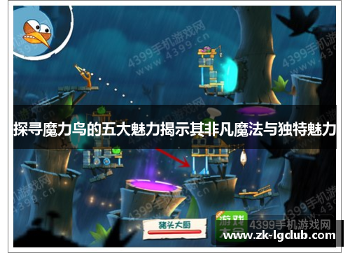 探寻魔力鸟的五大魅力揭示其非凡魔法与独特魅力