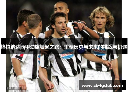格拉纳达西甲劲旅崛起之路：重塑历史与未来的挑战与机遇