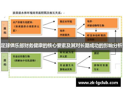 足球俱乐部财务健康的核心要素及其对长期成功的影响分析