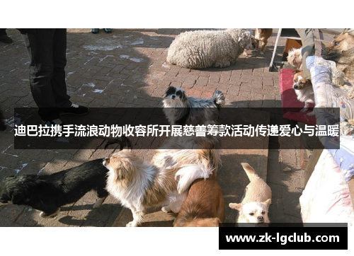 迪巴拉携手流浪动物收容所开展慈善筹款活动传递爱心与温暖 迪巴拉携手流浪动物收容所开展慈善筹款活动传递爱心与温暖